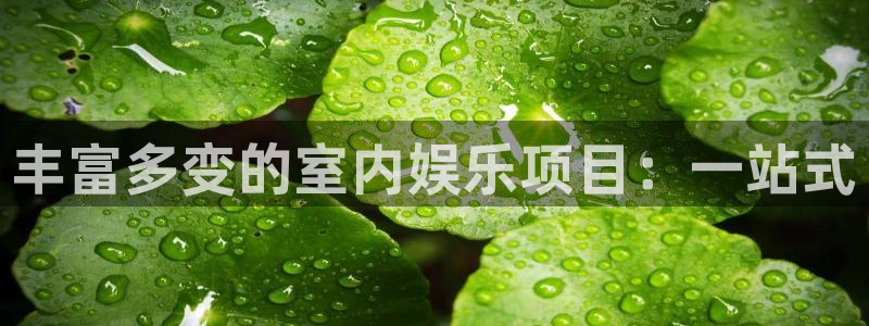 好彩运意思
