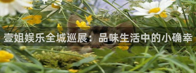好彩运邀