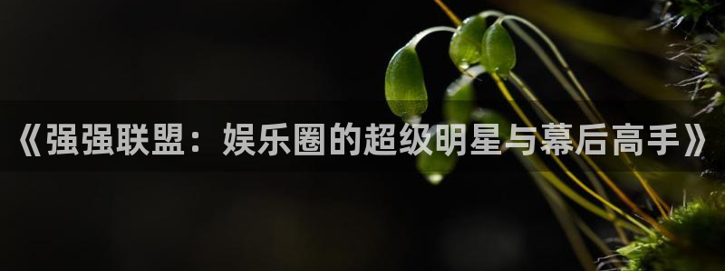 好彩运意思：《强强联盟：娱乐圈的超级明星与幕后高手》