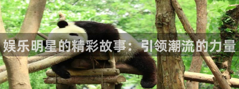 好彩运官网：娱乐明星的精彩故事：引领潮流的力量