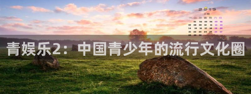 好彩运黄金加特林：青娱乐2：中国青少年的流行文化圈
