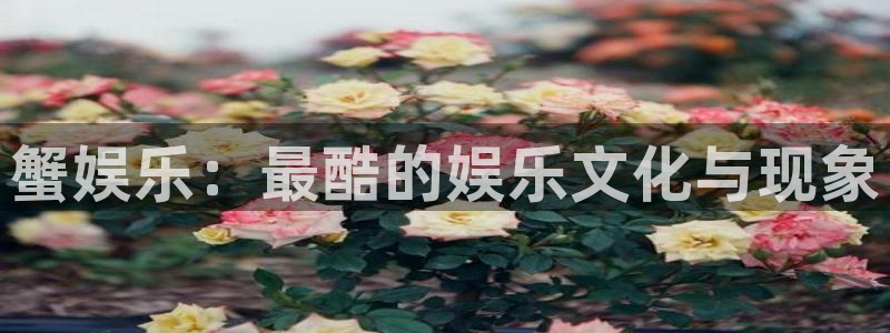 好彩运邀：蟹娱乐：最酷的娱乐文化与现象