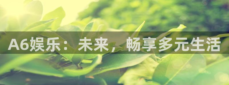 好彩运集团