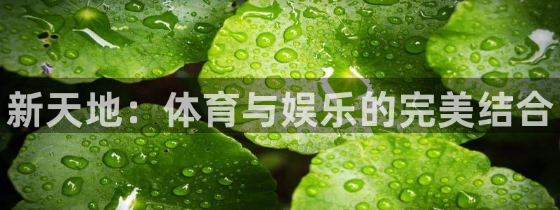 好彩运吧：新天地：体育与娱乐的完美结合